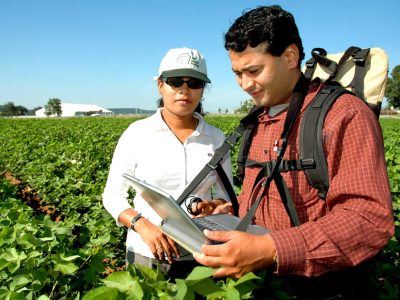 Agricultural Engineering